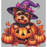 Halloween-WS 5785